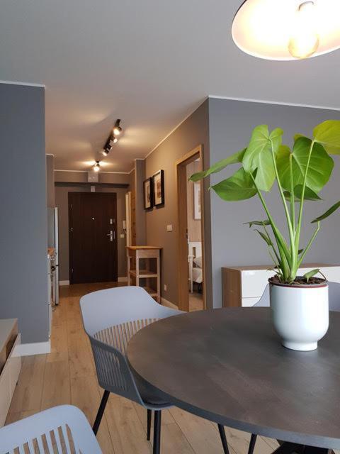 Apartament Triventi 88 Z Widokiem Na Sniezke - 5D Apartamenty คาร์ปัตซ์ ภายนอก รูปภาพ